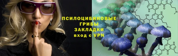винт Богданович
