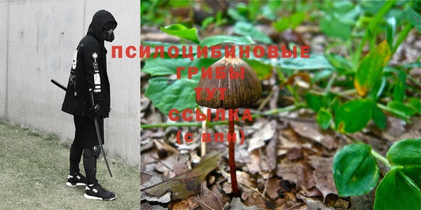 трава Арсеньев