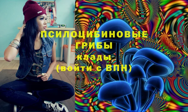 шишки Баксан