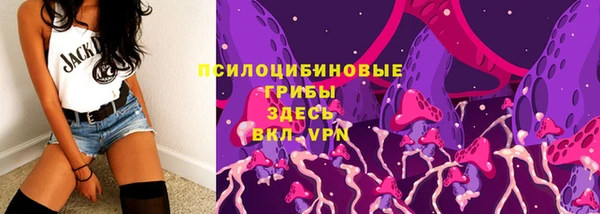твердый Армянск