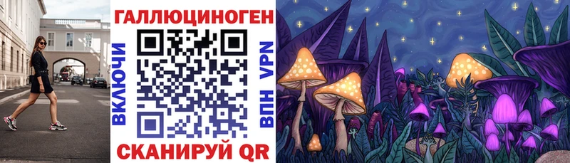 Псилоцибиновые грибы MAGIC MUSHROOMS как найти наркотики Новоузенск